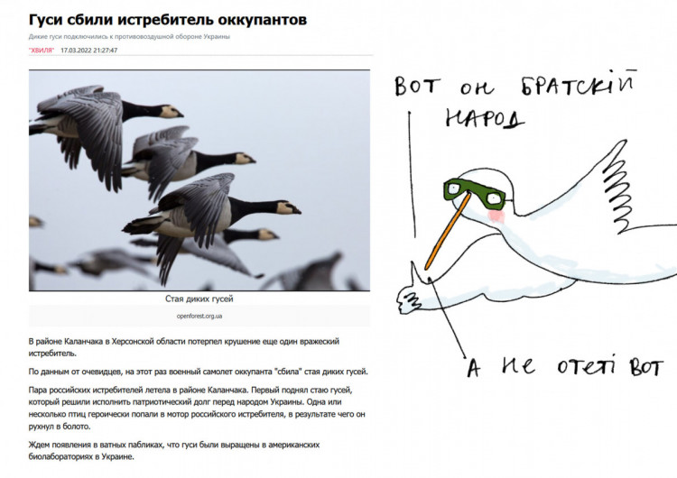 Меми про війну в Україні боїові гуси