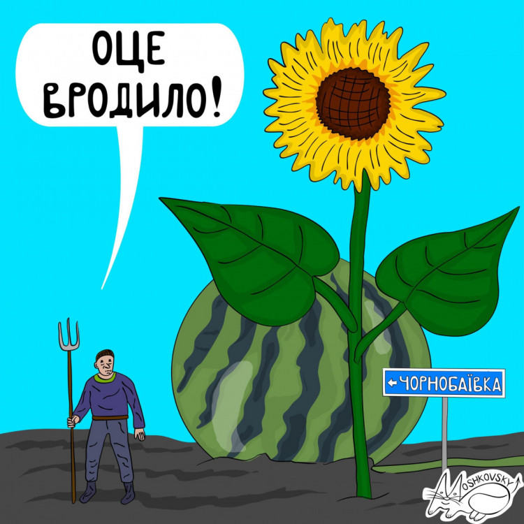 Мемы о войне в Украине Чорнобаївка Херсон